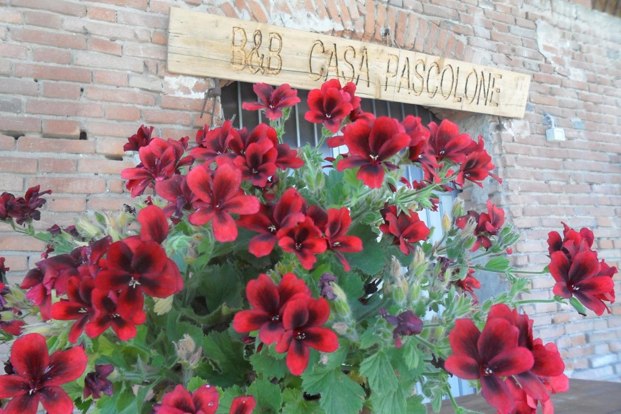 Pegognaga B&B Casa Pascolone מראה חיצוני תמונה