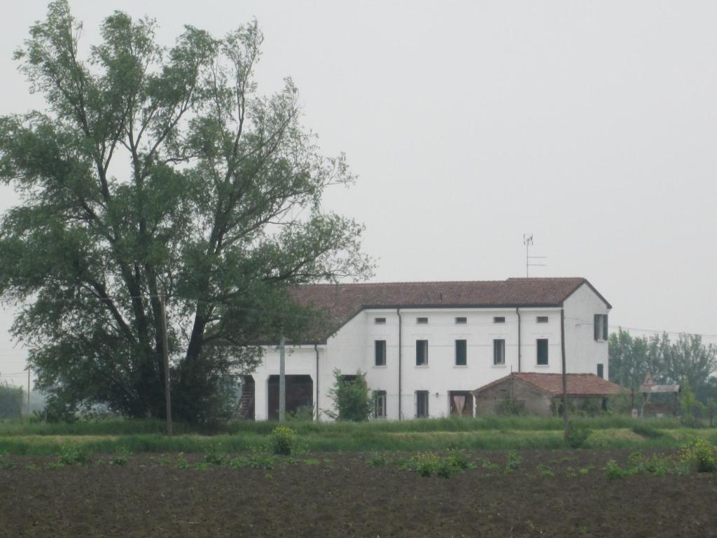 Pegognaga B&B Casa Pascolone מראה חיצוני תמונה